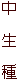 中 生 種